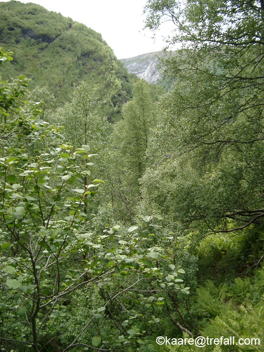 IMGP4462